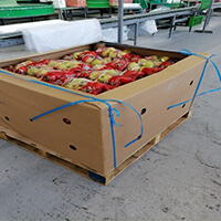Apples & Pears
